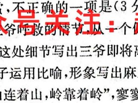2023届全国高考冲刺压轴卷 语文(老教材)(一)1答案考试试卷答案