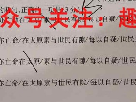 名校联盟全国优质校2023届高三大联考(2023.2)物理试题考试试卷答案