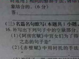 2023届普通高等学生招生全国统一考试·仿真模拟卷 语文(新高考)(一)1答案考试试卷答案