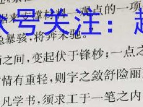 2022-2023九届级下学期双减作业调研化学答案考试试卷答案