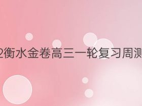 2021-2022衡水金卷高三一轮复习周测卷语文十一